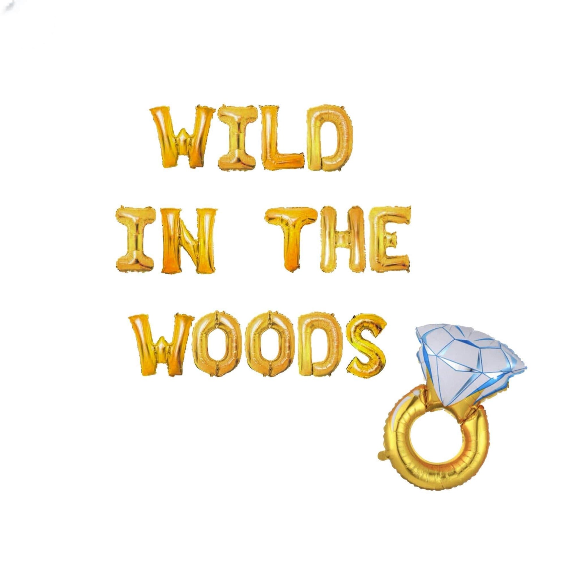 the words wild in the woods are made out of balloons